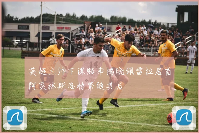 英超主帅下课赔率揭晓佩雷拉居首阿莫林斯洛特紧随其后